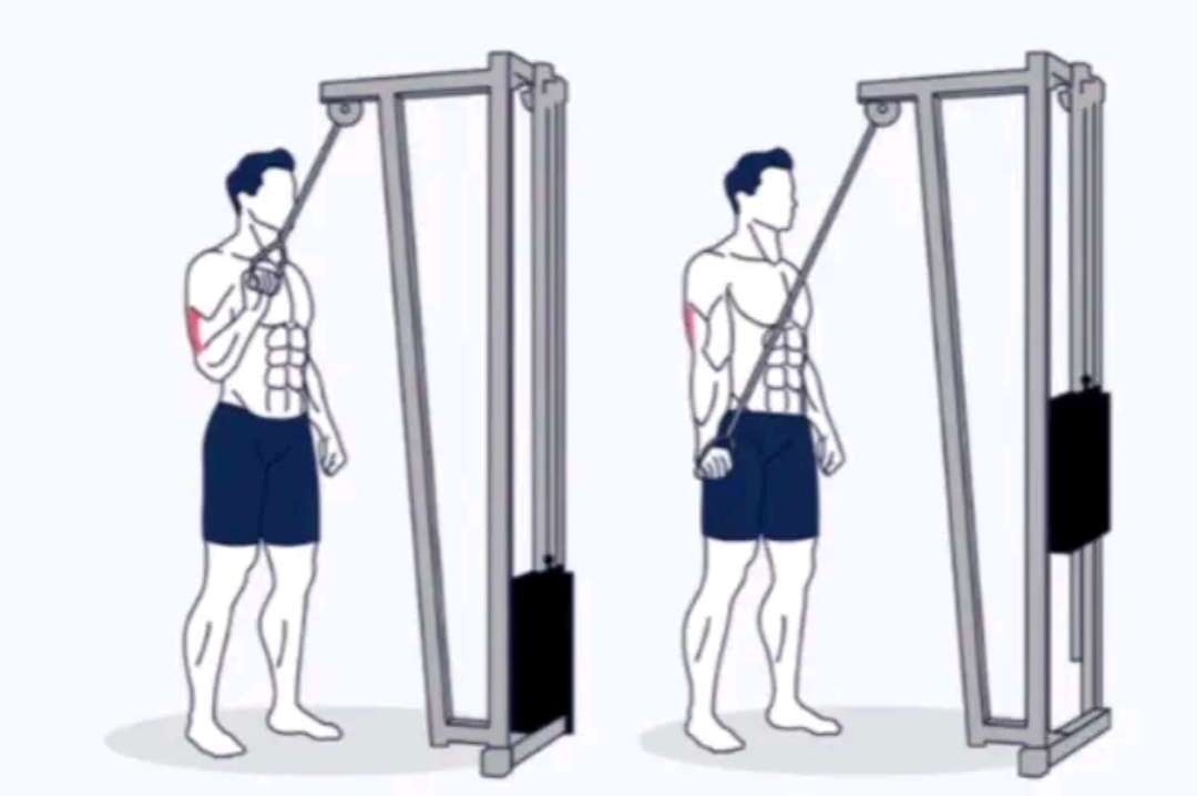 Single Arm Extensions Image