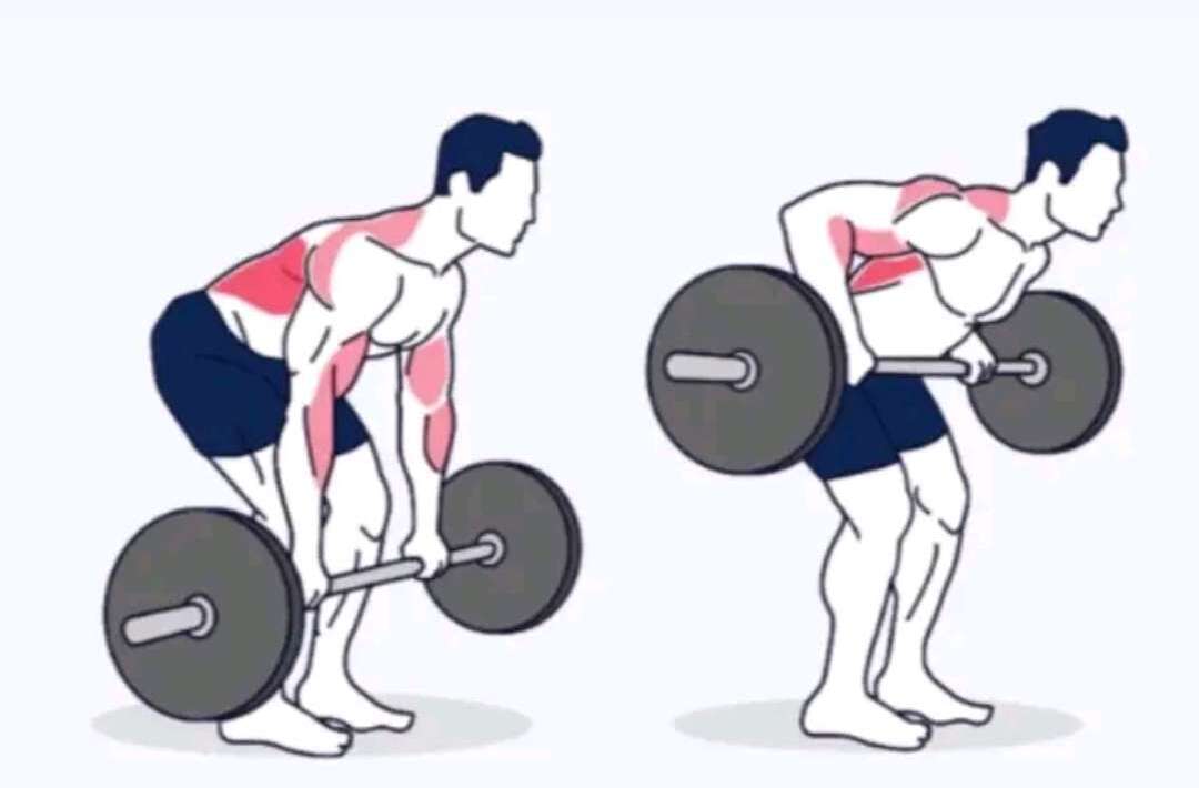 Bent Over Row Image