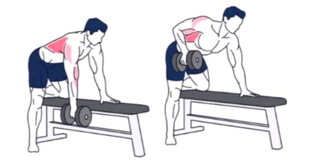 Dumbbell Row Image