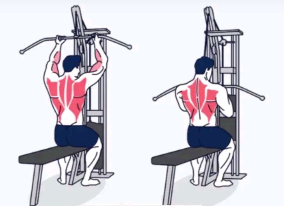 Lat Pulldowns Image