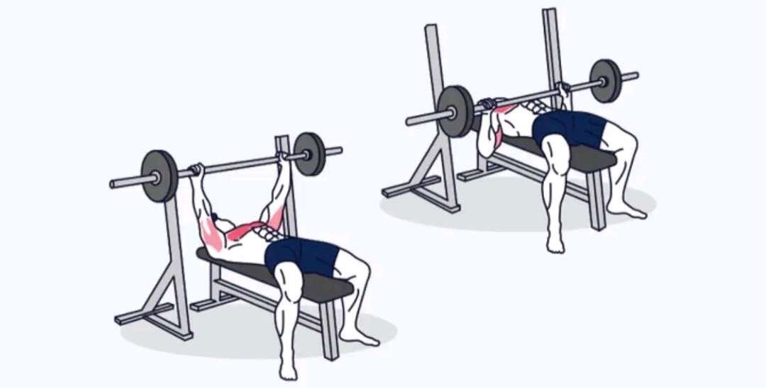 Bench Press Image