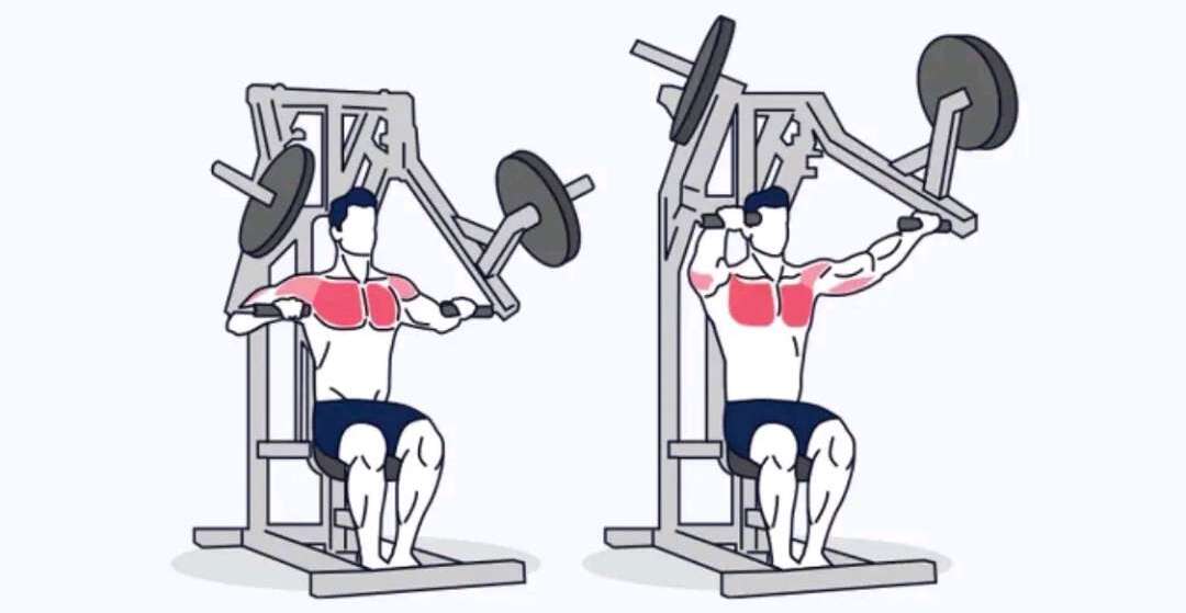 Chest Press Image