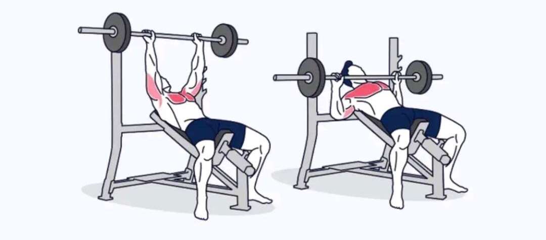Incline Bench Press Image