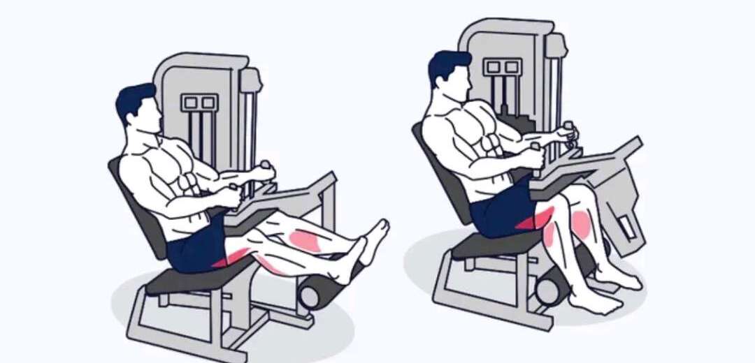 Seated Leg Curl Image