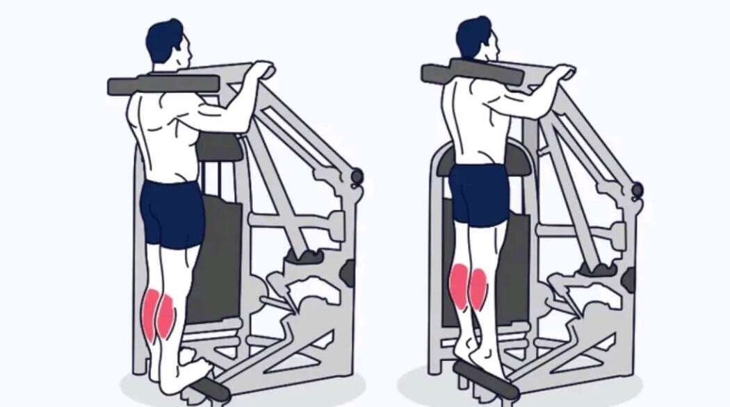 Standing Calf Raises Image